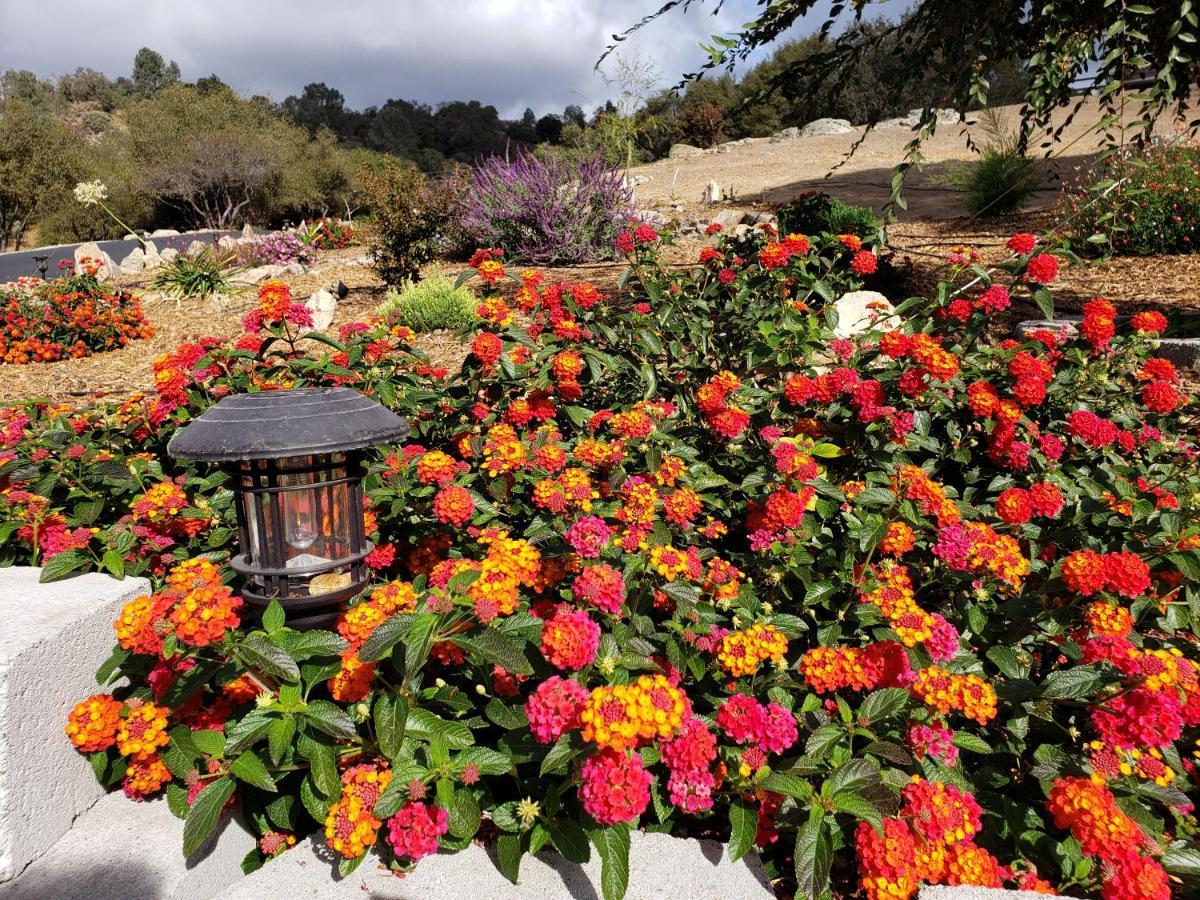Yosemite Foothill Retreat - Private Guest Suite #2 科斯戈尔德 外观 照片