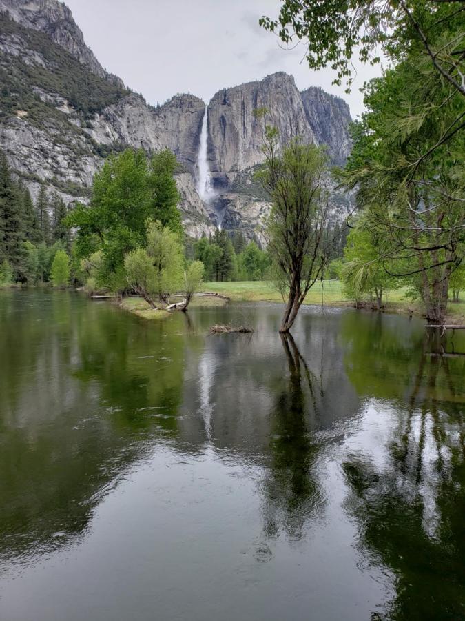 Yosemite Foothill Retreat - Private Guest Suite #2 科斯戈尔德 外观 照片