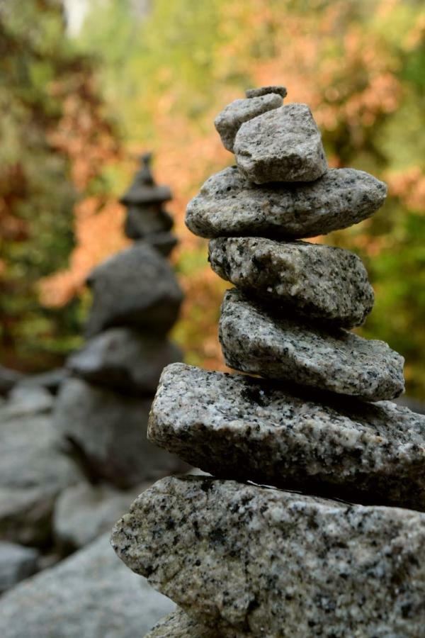 Yosemite Foothill Retreat - Private Guest Suite #2 科斯戈尔德 外观 照片